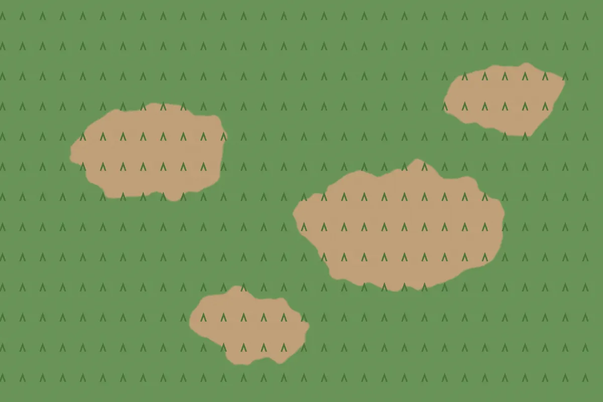 Illustration of a green lawn with several brown dead patches