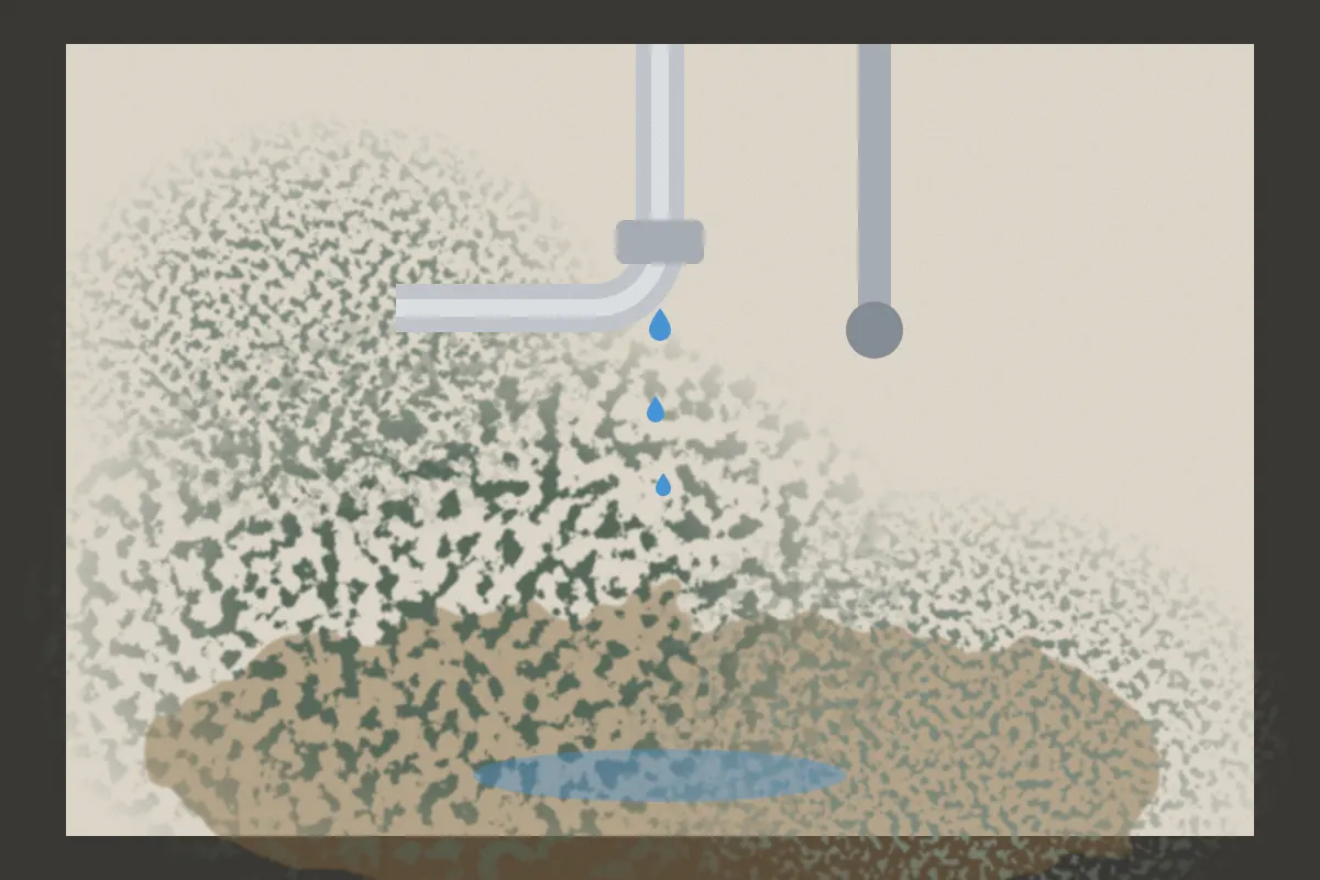 Illustration of mold growing inside a sink cabinet below a dripping pipe