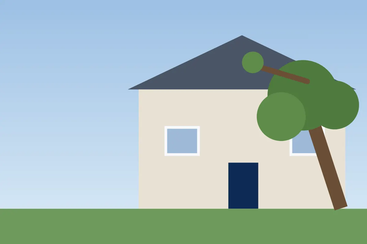 Illustration of a leaning tree near a house and a branch resting on the roof