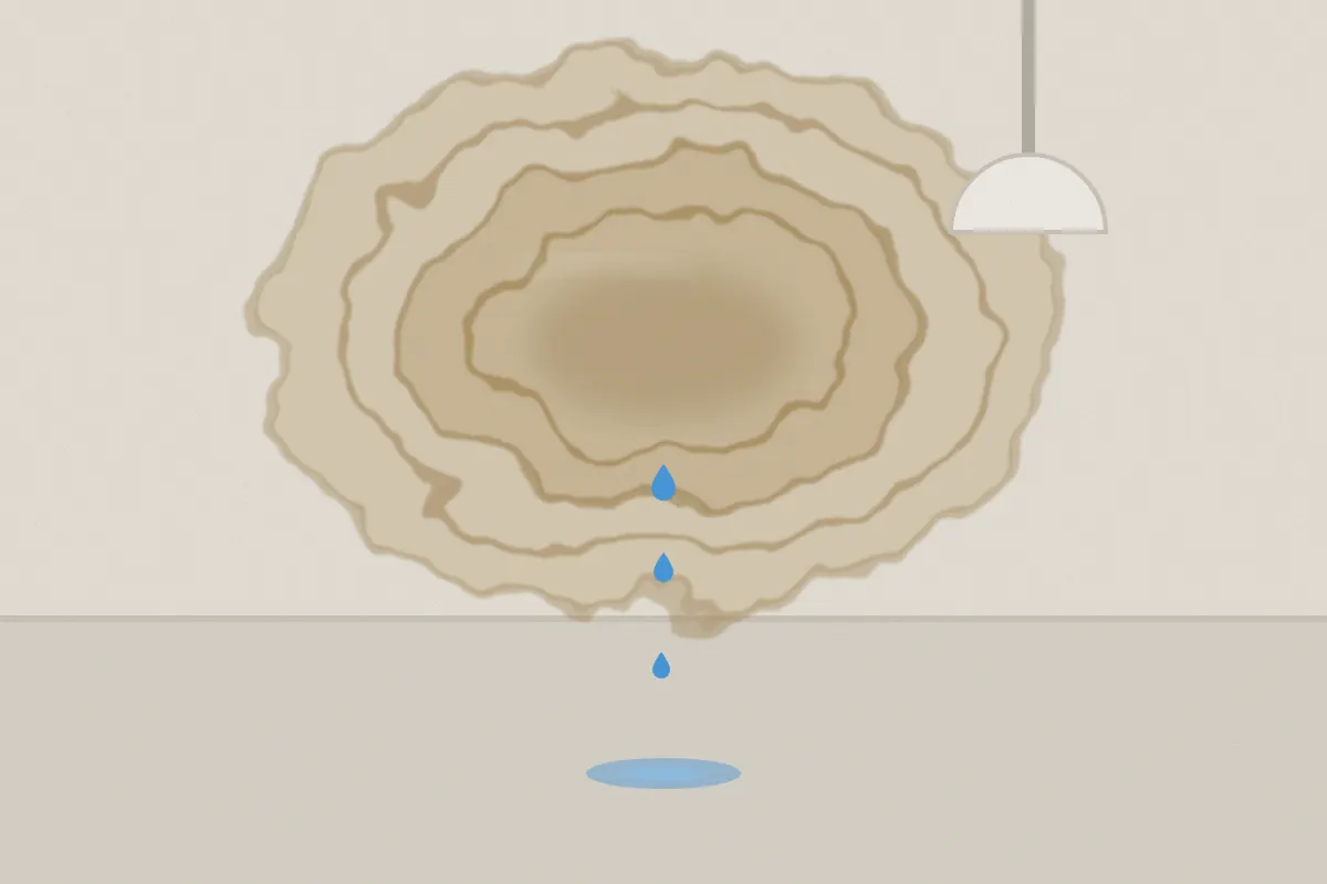Illustration of a brown water stain spreading across a ceiling with water dripping below