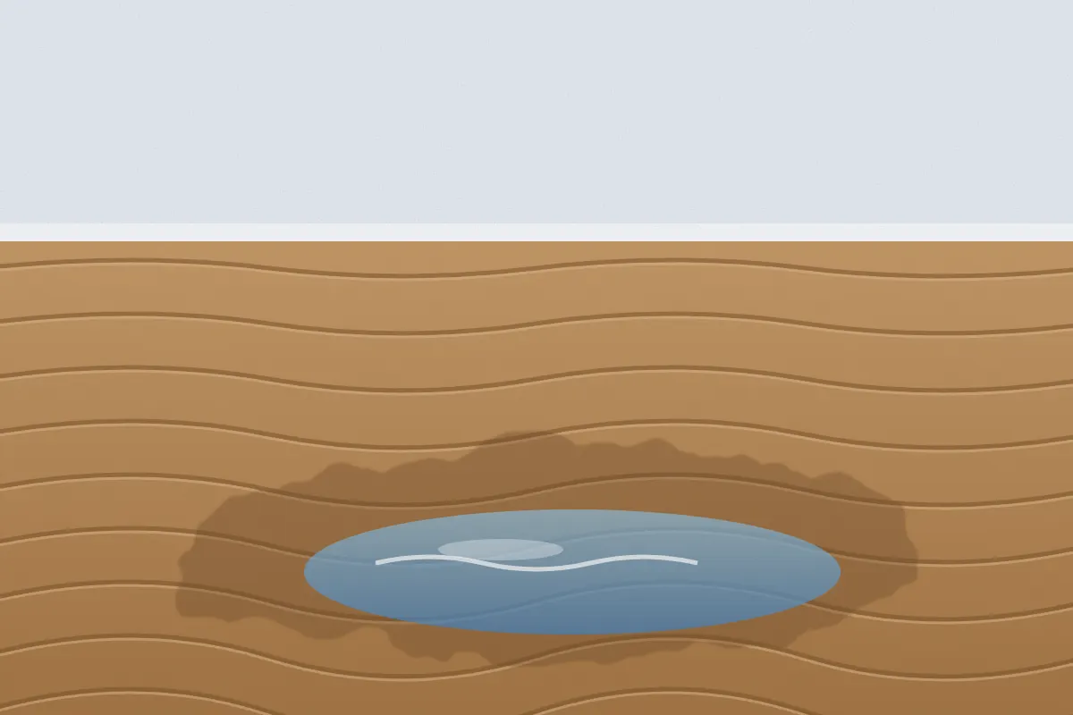 Illustration of wood floor planks cupping and warping around a pool of water